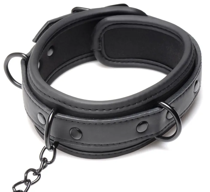 Collared Temptress Collar with Nipple Clamps | Master Series Female Sex Toys
